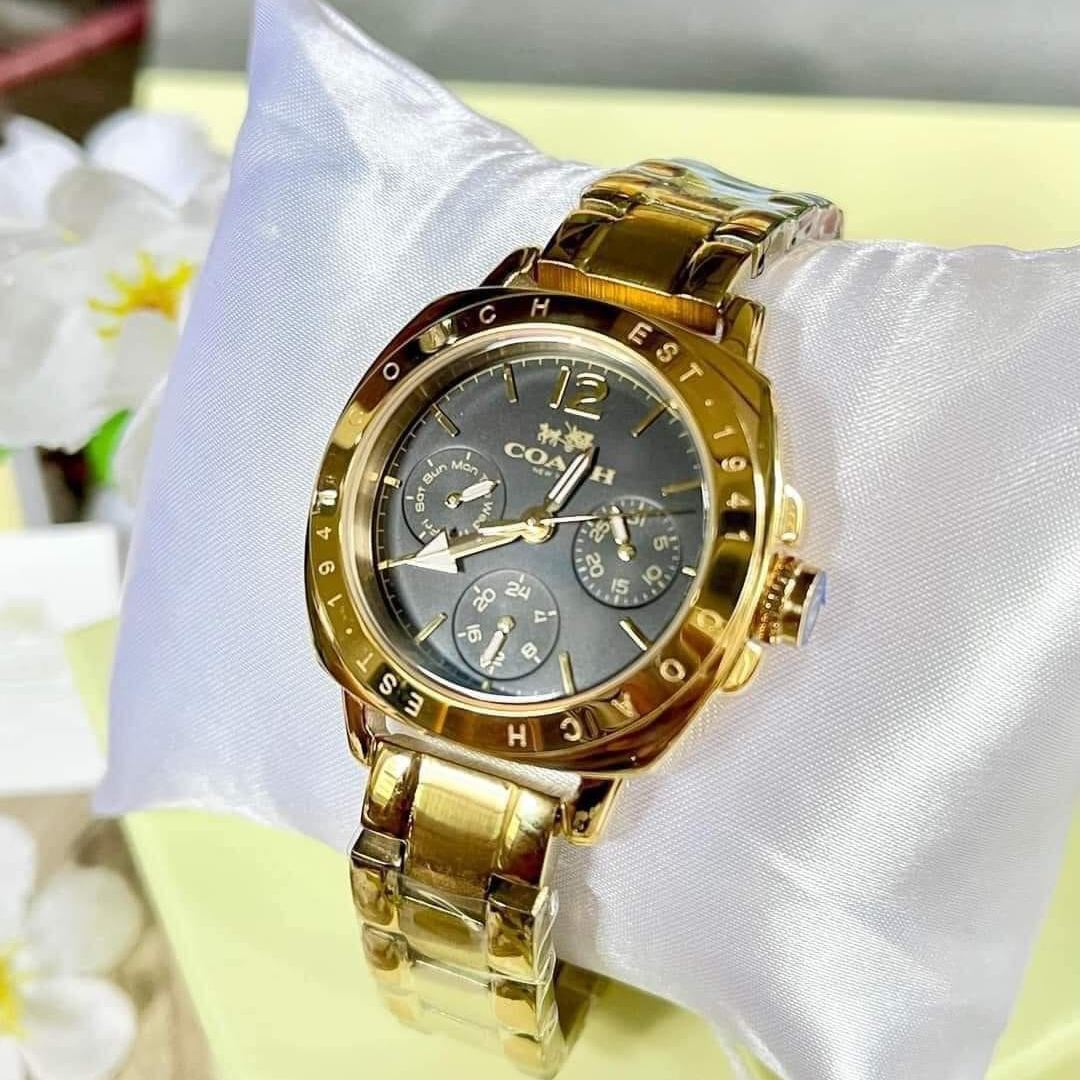 Coach Mini Boyfriend Multifunction Chronograph Black Dial Gold Tone Stainless Steel
